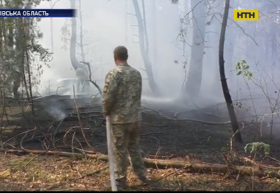 Другу добу поспіль вогнеборці гасять лісову пожежу на Чернігівщині