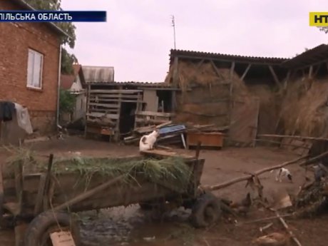 На Тернопольщине вода уничтожила огороды и животных