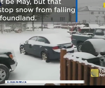 В Канаде выпал снег