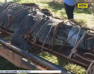 В Австралії спіймали гігантського крокодила, за яким полювали 8 років