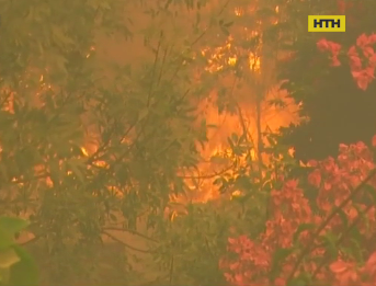 Лесные пожары в Португалии приблизились к курорту Алгарве