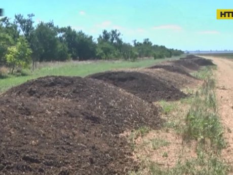 Мешканці Херсона майже тиждень страждають від нестерпного смороду