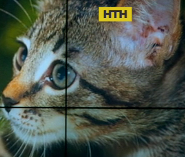 Спецоперацию по спасению кота провели чрезвычайники в Винницкой области