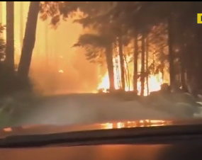 Отец с сыном попали в эпицентр лесного пожара в США