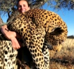 В соцсетях разыскивают женщину, которая убила леопарда