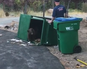 Трех маленьких медвежат спасли американские пожарные