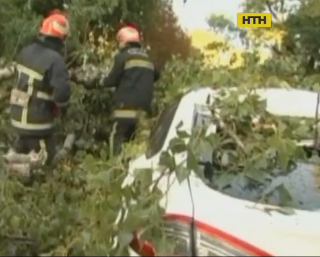 Ураган обірвав лінії електропередач, повалив дерева та позривав дахи в Кропивницькому