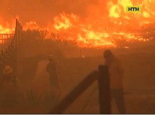 44 человека погибли в лесных пожарах в Калифорнии