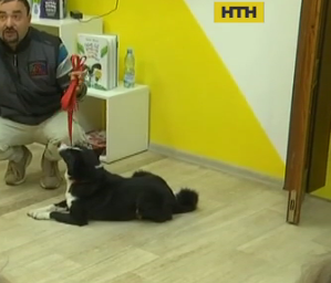 Во львовских школах заработал собака-визетер