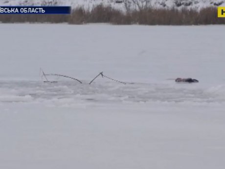 На Николаевщине и-за тонкого льда в холодной воде оказалось 3 человека