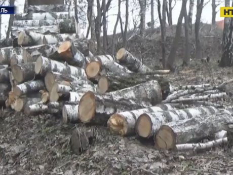 У Тернополі знищують парк Національного Відродження