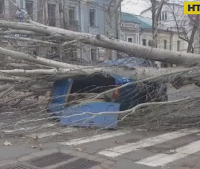 Тополя розчавила пасажирську Газель у Миколаєві