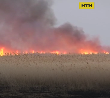 Під Одесою в Нижньодністровському заповіднику сталася масштабна пожежа