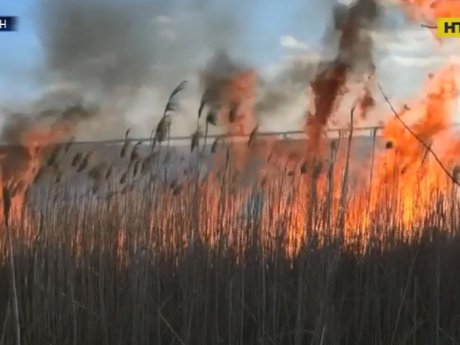 У Херсоні палають Дніпровські плавні