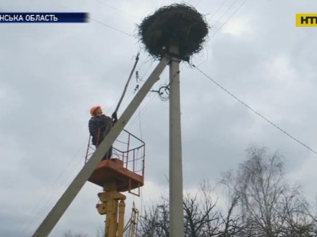 На Волині енергетики вже зустрічають лелек