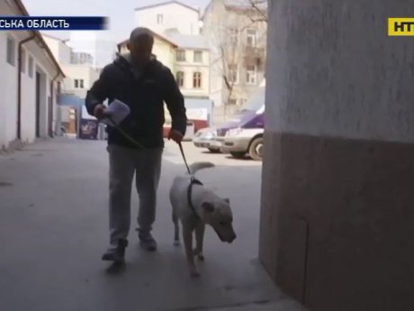 Собака, которую якобы утопил школьный работник на глазах у детей на Львовщине, нашелся
