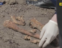 В Днепре в цветочной клумбе нашли человеческие кости
