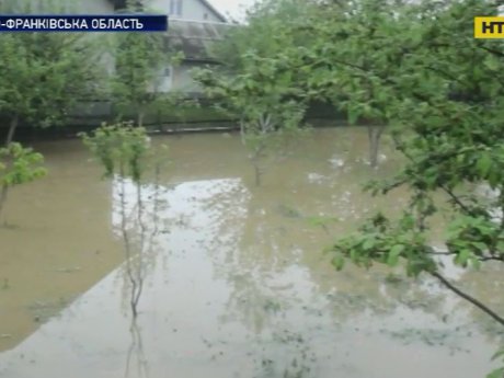 На Івано-Франківщині вода перелилася через захисну дамбу й затопила село