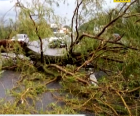 Потужний буревій знеструмив кілька населених пунктів на Житомирщині