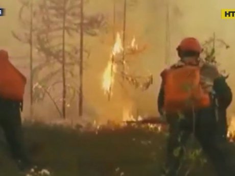 Російський Сибір страждає від масштабних лісових пожеж