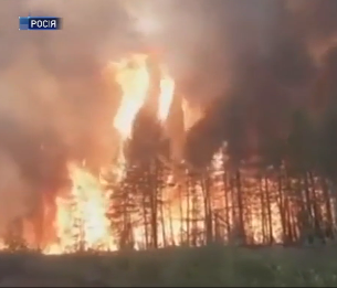 Лесные пожары в Сибири охватили территорию размером с Бельгию