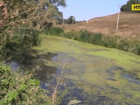 Стічні води вбивають річку Тясмин на Черкащині