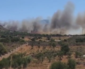 Через потужні лісові пожежі з курортів Греції евакуйовують туристів