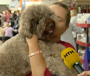 В Киеве открылась международная выставка собак