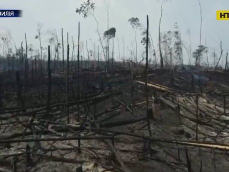 Бразилія відмовилася від допомоги світу в гасінні амазонських лісів