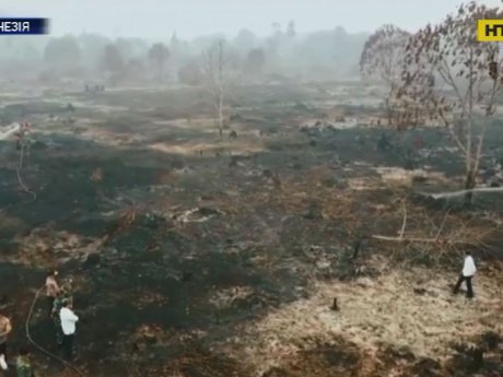 Малайзийская столица оказалась в дыму от лесных пожаров, бушующих в Индонезии