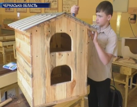 В Черкасской области школьники смастерили домики для бездомных кошек