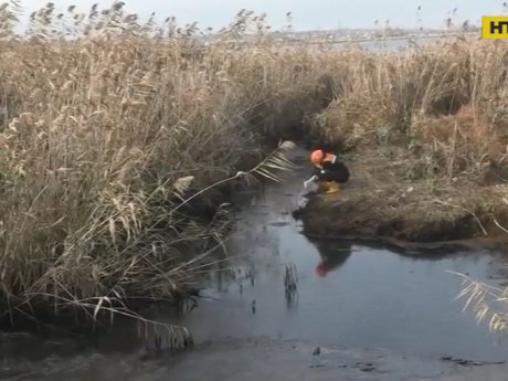 На Миколаївщині розшукують злочинців, які злили до річки Інгул нафтопродукти