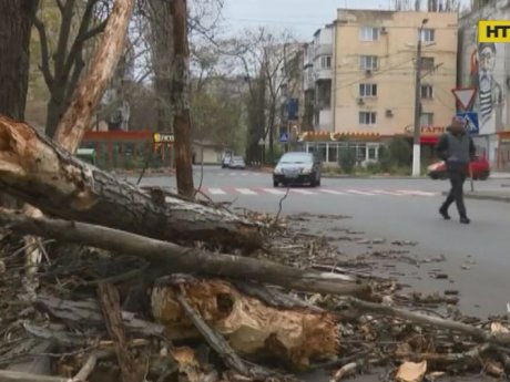 Зима наступает: непогода наделала беды в Одессе