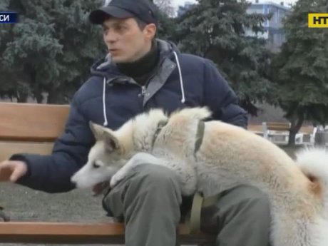 В Черкассах люди спасали пса, который несколько дней был заперт в автомобиле