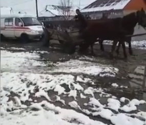 Кони спасли скорую помощь на Закарпатье