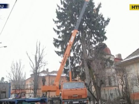 Елка поссорила соседей в Черновцах