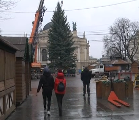 В центре Львова установили новогоднюю елку