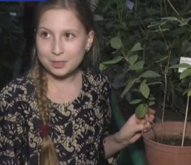 В Черкасской области школьники выращивают экзотические фрукты