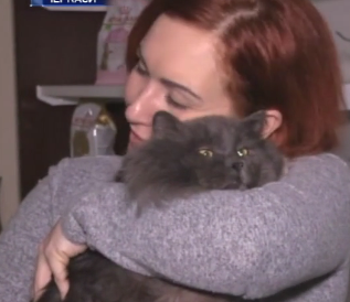 Вакансію обіймача котів відкрили в одній із Черкаських ветеринарних клінік