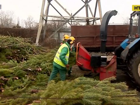Украинцы уже выбрасывают елки на помойку