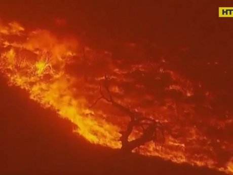 В Австралии вновь бушуют лесные пожары