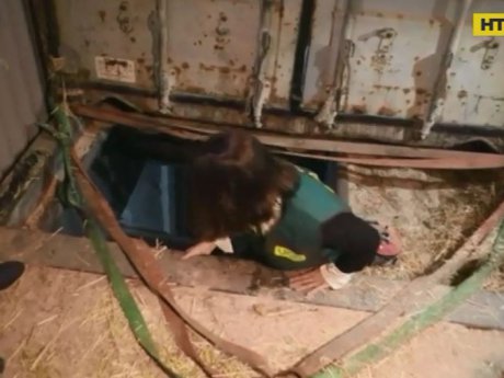 Испанские полицейские задержали украинцев, работавших на нелегальной подземной фабрике сигарет