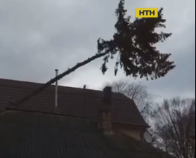 Из-за урагана по Украине без света остались 250 населенных пунктов, в 7 областях