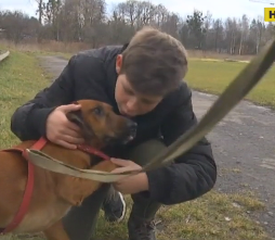 14-річний Максим з Львівщині врятував пса, який потрапив в трубу теплотраси