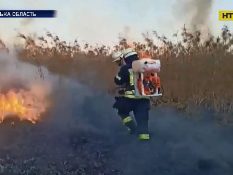 На Київщині вирують маштабні пожежі