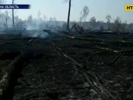Пожежі в лісосмугах: надзвичайники просять українців залишатися вдома