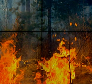Карантин с привкусом гари: спасатели фиксируют все больше пожаров в лесополосах и парках