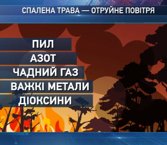 Спасатели призывают граждан не провоцировать пожары на природе