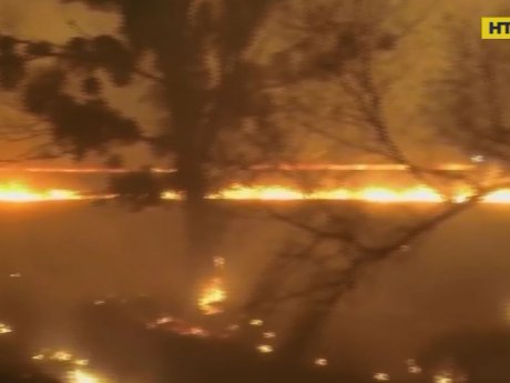Страшна масштабна пожежа сталася в селі Ходосівка на Київщині