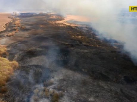 Правоохоронці знайшли чоловіка, який влаштував масштабну пожежу на території Чорнобильської зони